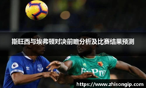 悟空体育斯旺西与埃弗顿对决前瞻分析及比赛结果预测